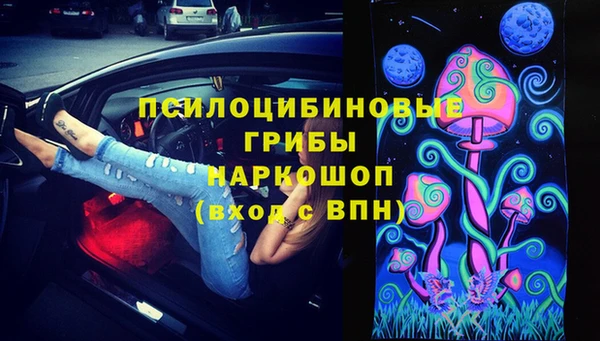 молекула духа Лиски