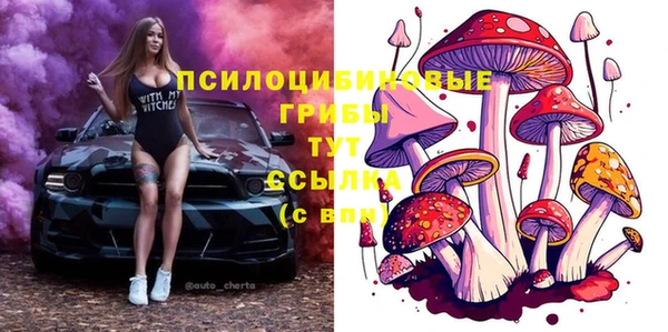 соль курить ск Ладушкин