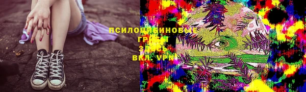 твердый Лагань