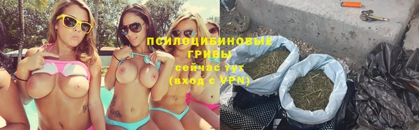 молекула духа Лиски