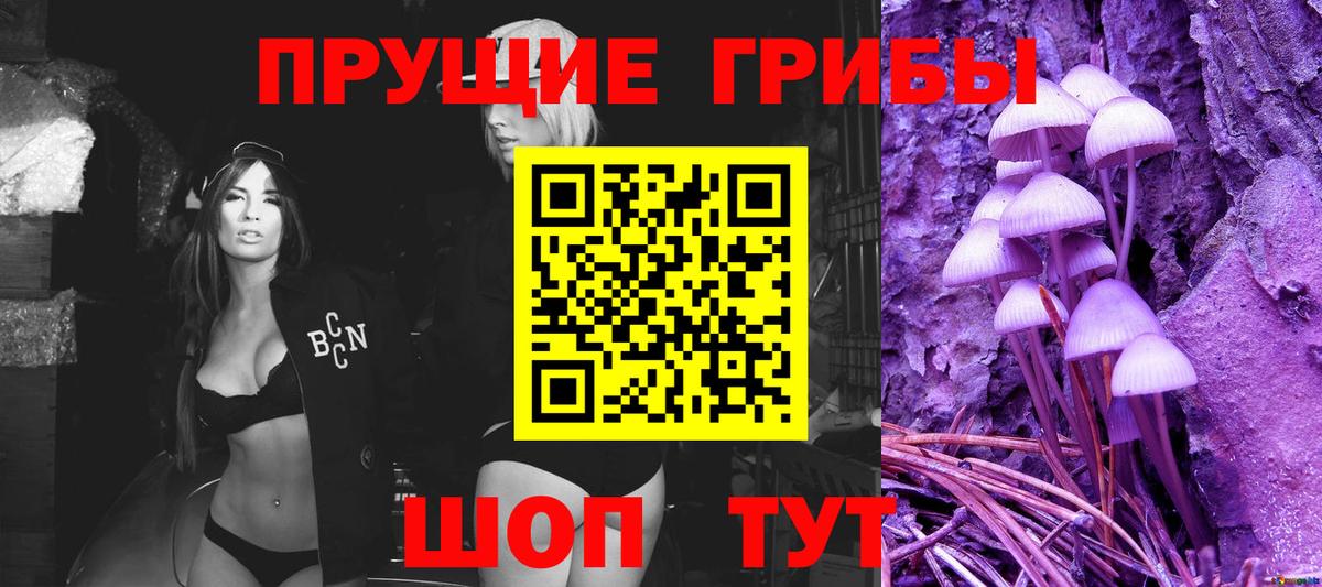 Галлюциногенные грибы Psilocybine cubensis  Вход с VPN  Янаул 