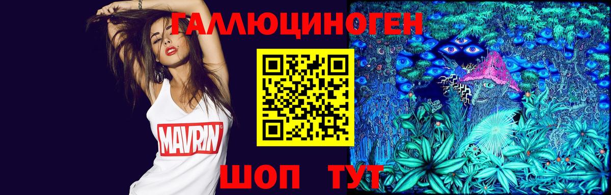 Галлюциногенные грибы Psilocybe Янаул